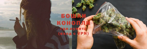 винт Белокуриха