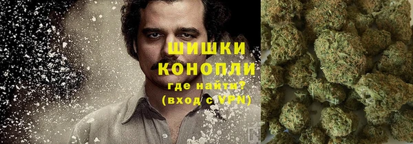 винт Белокуриха