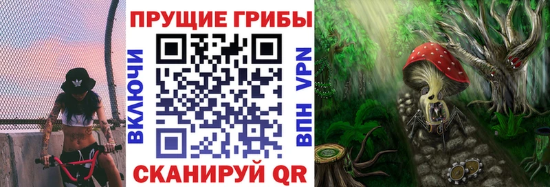 Псилоцибиновые грибы MAGIC MUSHROOMS  кракен как зайти  Горнозаводск 